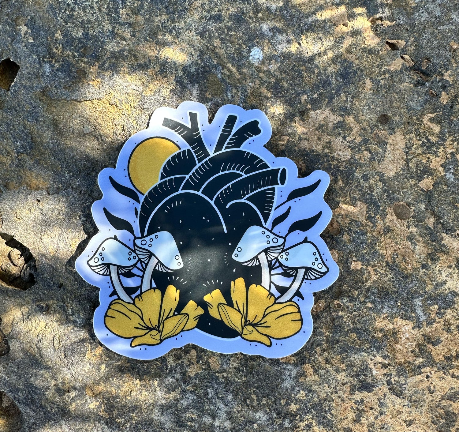 Anatomical Heart - Vinyl Sticker