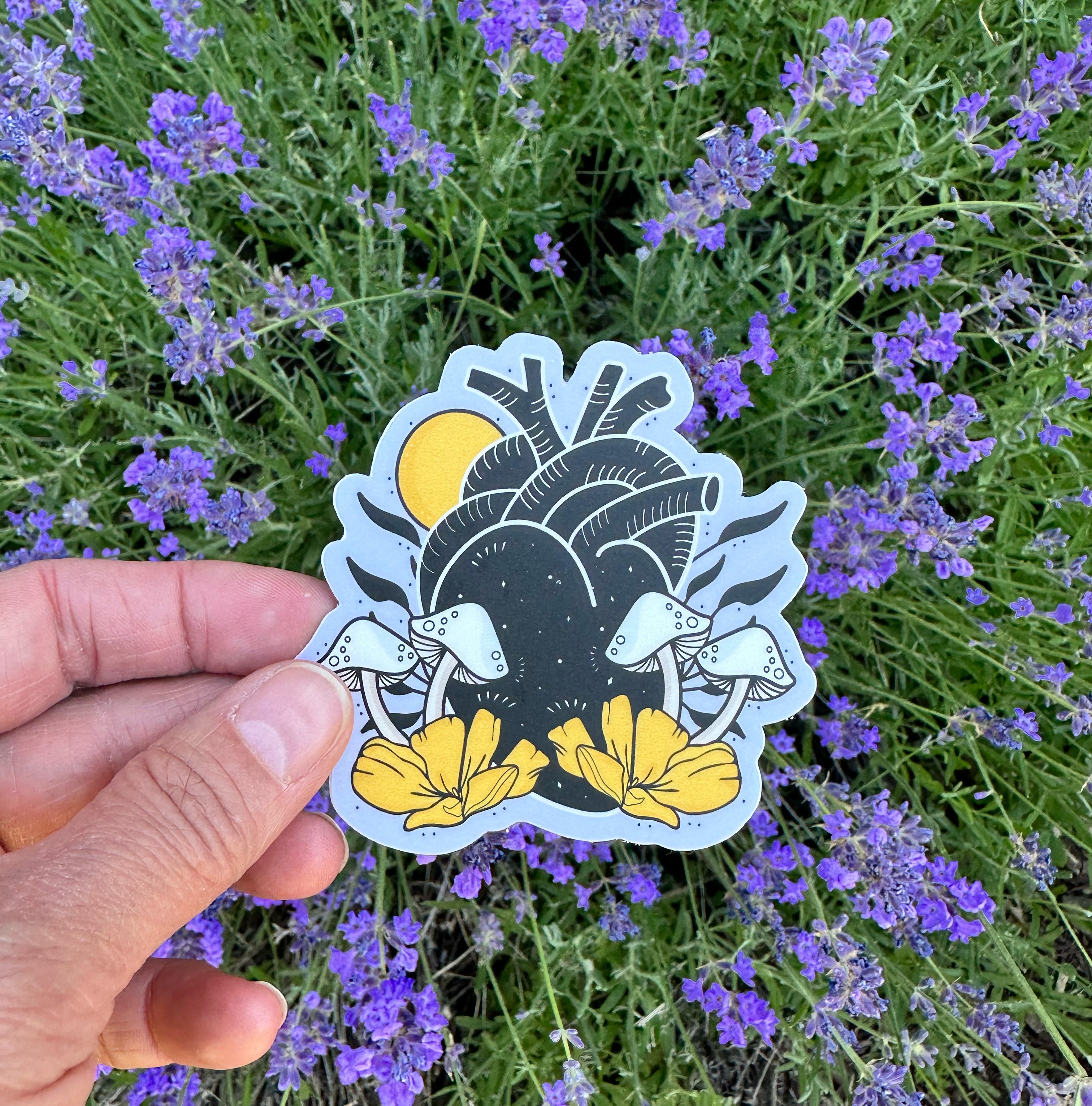 Anatomical Heart - Vinyl Sticker